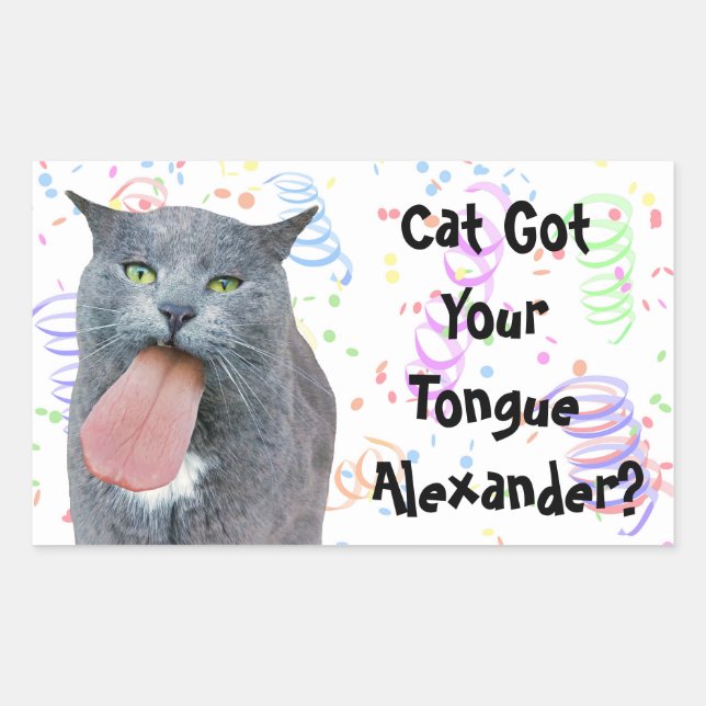 Party Cat Got Your Tongue? Rectangular Sticker (Front)