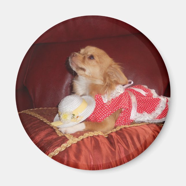 party chi magnet (Front)