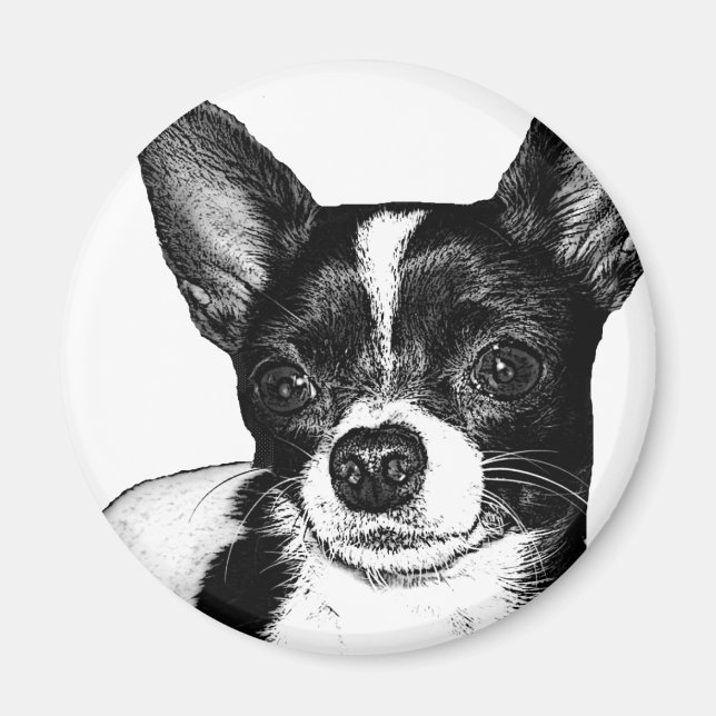 Party Chihuahua Magnet (Front)