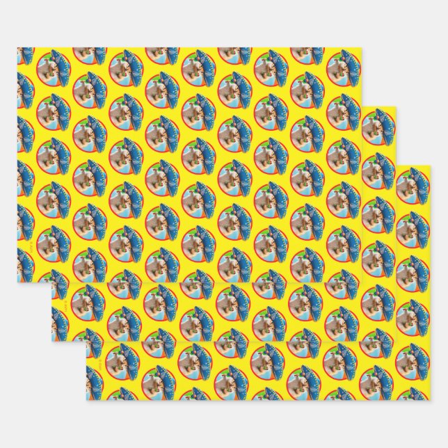 Party Chipmunk In Sombrero Wrapping Paper Sheet (Set)