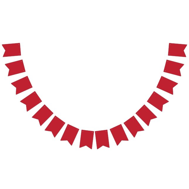 Party Decorations | Custom Banners & Bunting Flags (All)