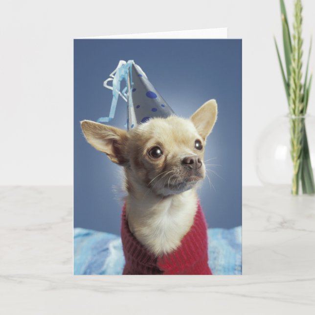 Party Dog Birthday Card (Front)