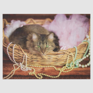 party girl tissue paper