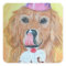 Party Golden Retriever