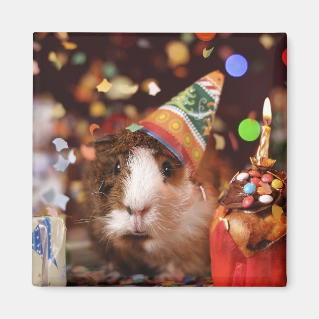 Party Guinea Pig Magnet (Front)