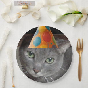 Party Hat Grey Cat Paper Plate