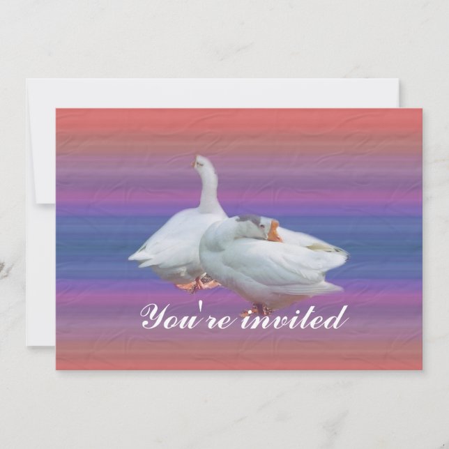 party invitation (Front)