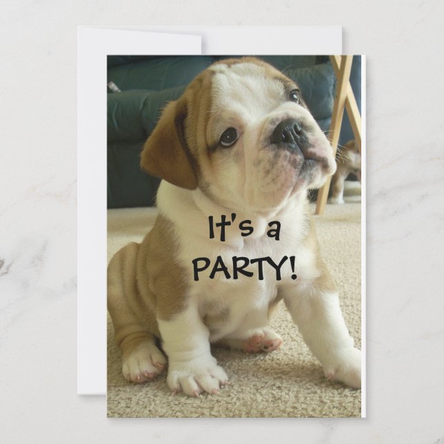 Party Invitations English Bulldog Puppy (Front)