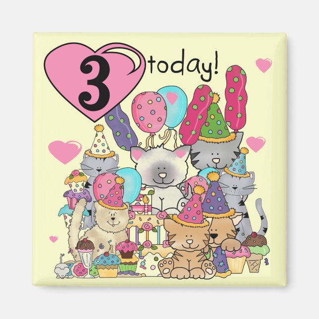Party Kittens 3rd  Birthday Tshirts and gifts Magnet (Front)
