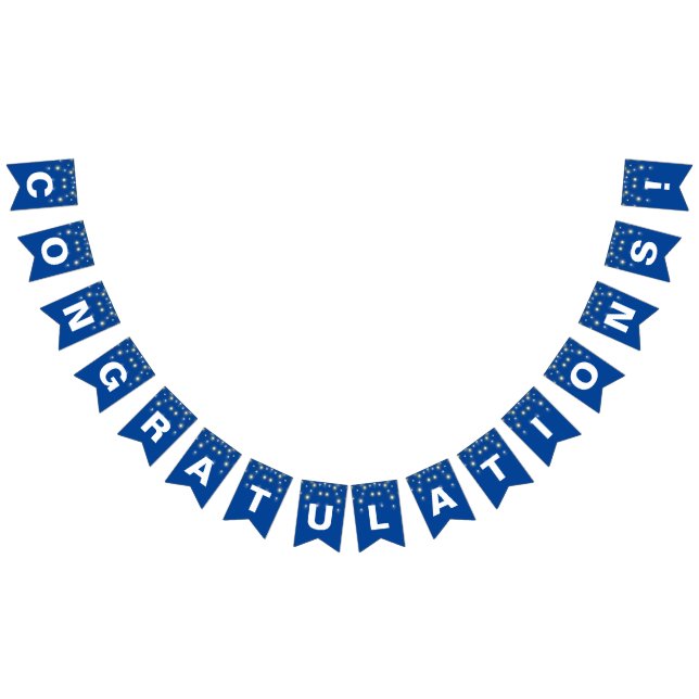 Party Lights Congratulations on Blue Bunting (All)