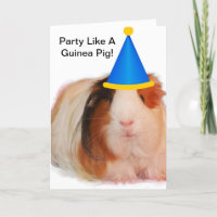 Party Like A Guinea Pig cards