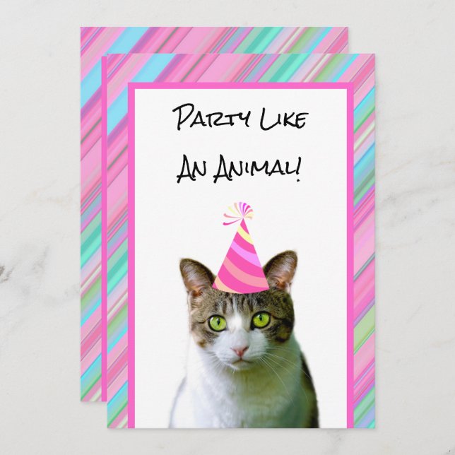 Party Like An Animal Cat With Party Hat Birthday Invitation (Front/Back)