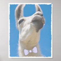 Party Llama with a Bow Tie