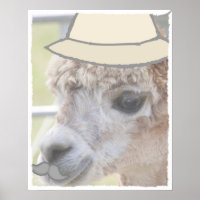 Party Llama with a moustache