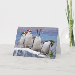 Party Pingos Christmas Card (blank message)