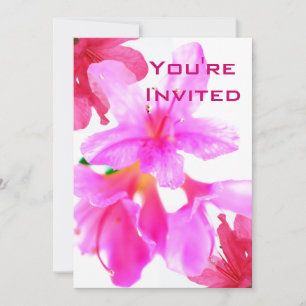 Party Pinks Invitation