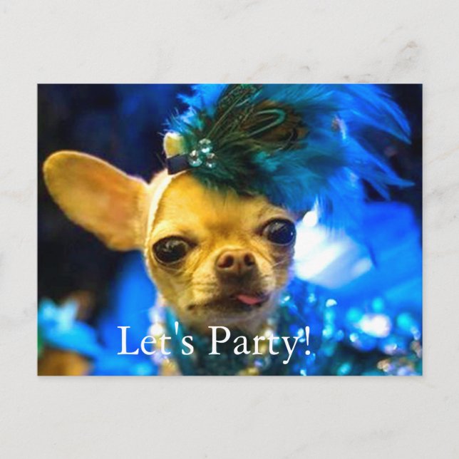 PARTY POSTCARD - LETS PARTY CHIHUAHUA (Front)
