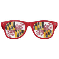 Party Shades Sunglasses with flag of Maryland USA