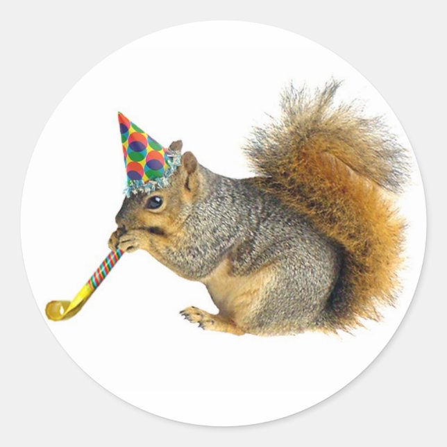 Party Squirrel Classic Round Sticker (Front)