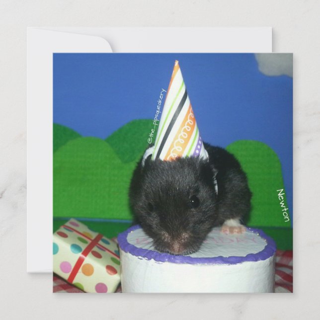Party Time with Newton (Front)