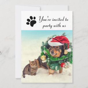 Party With Us Dog & Cat - Holiday Party Invitation