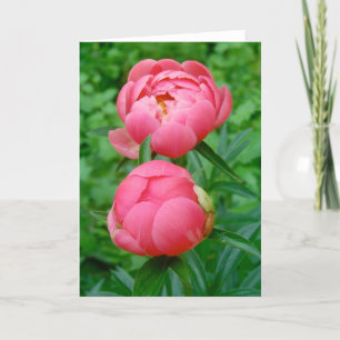 Pas de Deux Card
