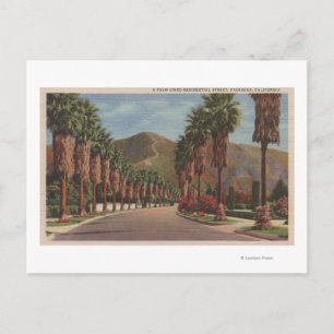 Pasadena, CA - Residental Street Scene & Palms Postcard