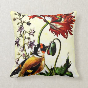 Pasari - Maria Sibylla Merian botanical art Cushion
