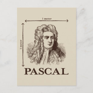 Pascal = 1 newton per square metre math joke postcard