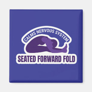 Paschimottanasana Seated Forward Fold • Calms Nerv Magnet