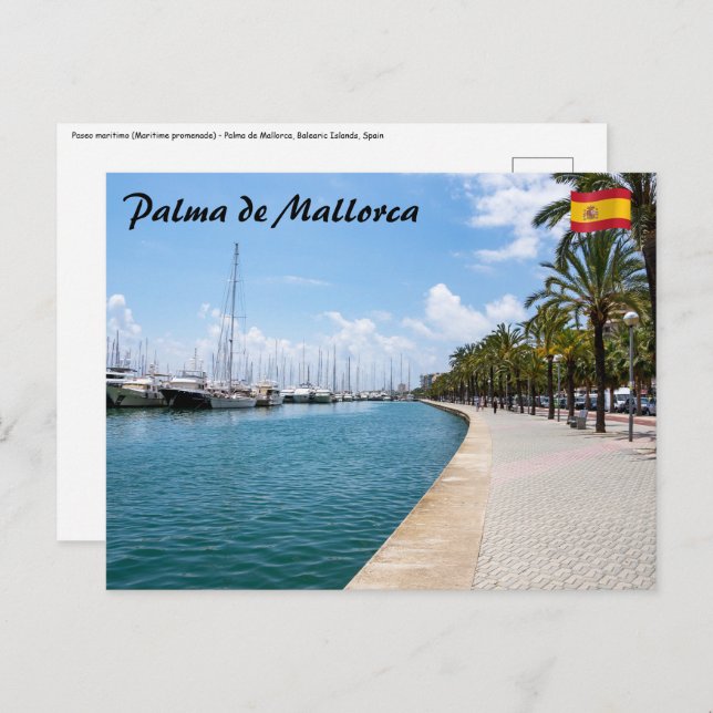 Paseo maritimo - Palma de Mallorca, Spain Postcard (Front/Back)