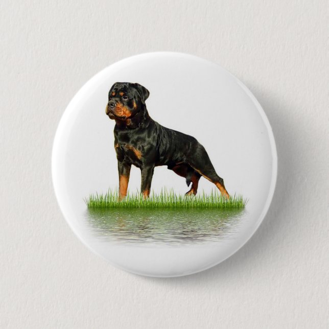 Pasha Earl Antonius 6 Cm Round Badge (Front)