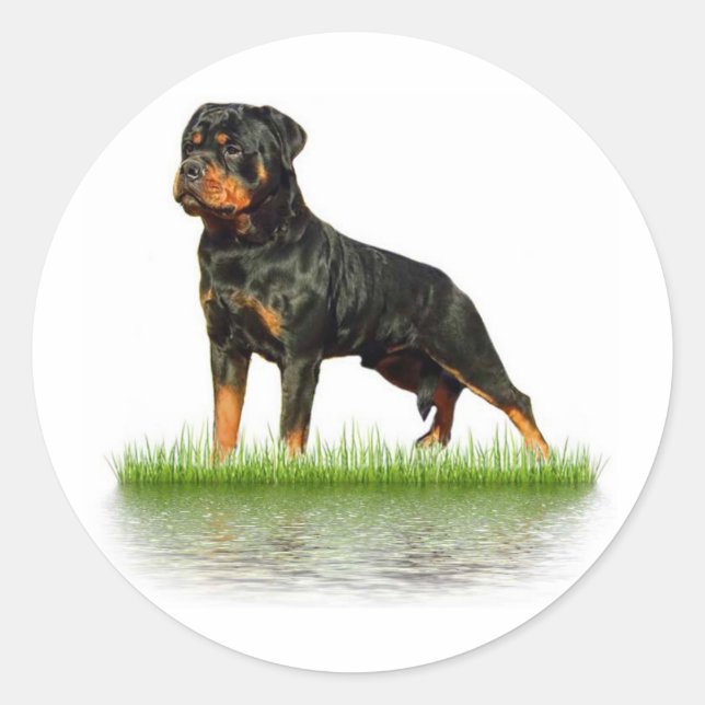 Pasha Earl Antonius Classic Round Sticker (Front)