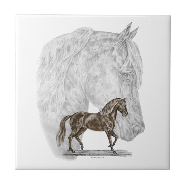 Paso Fino Horse Art Tile (Front)