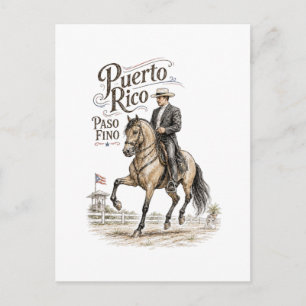 Paso Fino Horse Puerto Rico Postcard