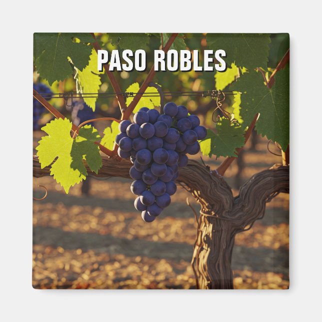 Paso Robles California Central Coast Magnet (Front)