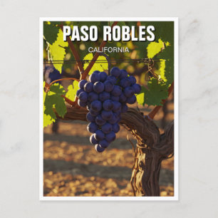Paso Robles California Central Coast Postcard