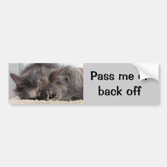 Pass Me or Back off Cat Car Bumper Sticker (Front)