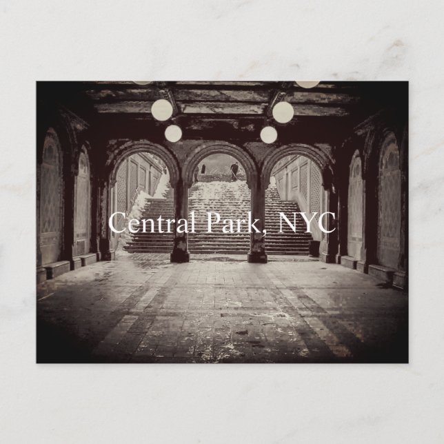 Passage under Bethesda Terrace Postcard (Front)