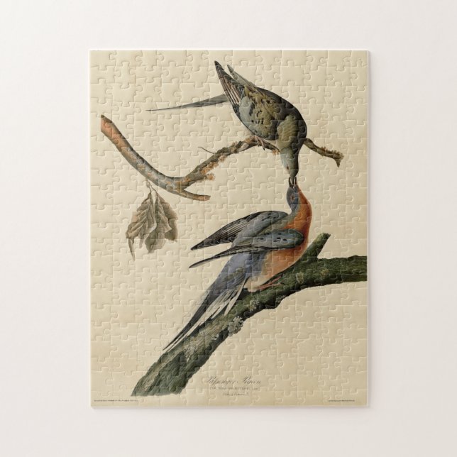 Passenger Pigeon from Audubon's Birds of America Jigsaw Puzzle (Vertical)