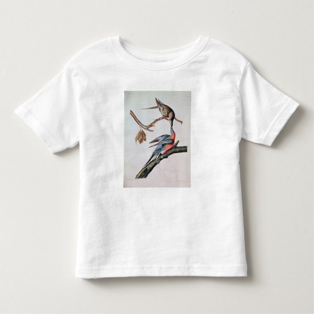 Passenger Pigeon, from 'Birds of America' Toddler T-Shirt (Front)