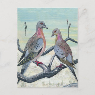 Passenger Pigeons Postcard