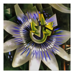 Passiflora Passion Flower In Geometric Art Style Poster