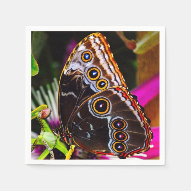 Passiflora VIOLACEA and a Blue morpho butterfly Napkin (Front)