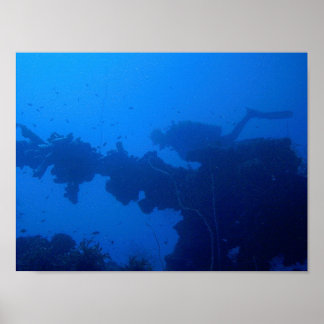 Passing Diver Poster