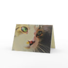 Passing Glance Cat with Green Eyes