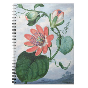 Passion Flower (1799),by Sydenham Teak Edwards. Notebook