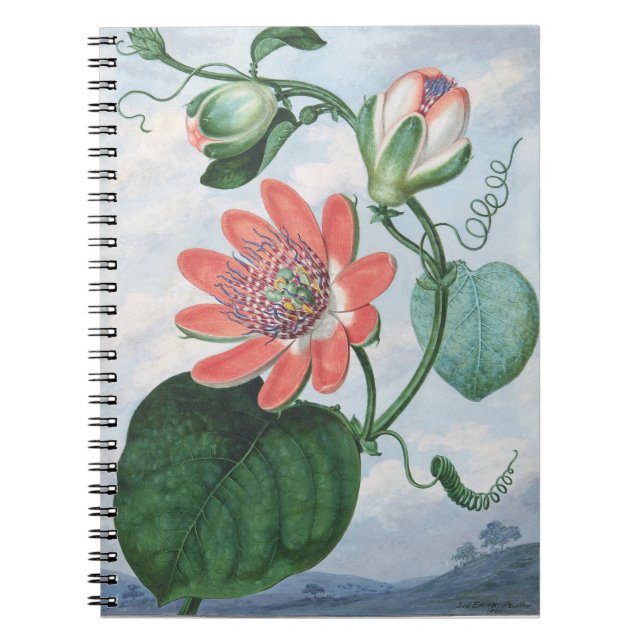 Passion Flower (1799),by Sydenham Teak Edwards.  Notebook (Front)