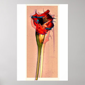 Passion Flower #1 Poster