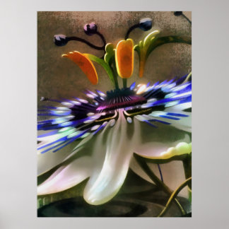 Passion Flower Blossom In Art Deco Abstract Style Poster